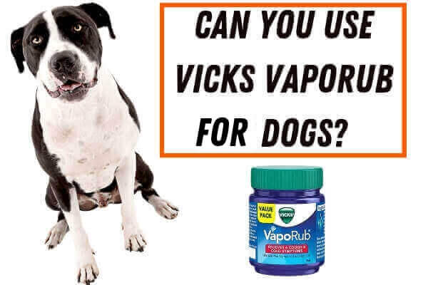 is vicks poisonous to dogs