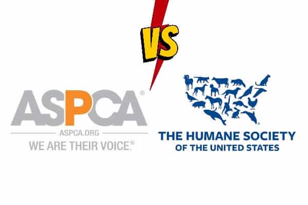 Aspca-vs-humane-society-.jpg