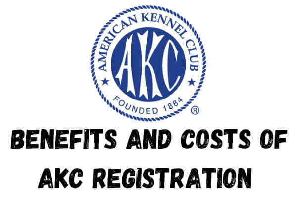 Benefits-and-cost-of-AKC-registration-.jpg