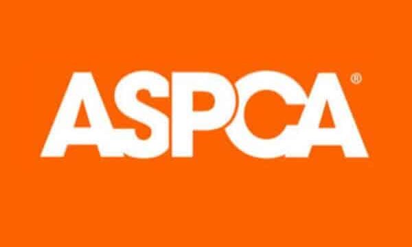 Is-ASPCA-A-GOOD-CHARITY-.jpg