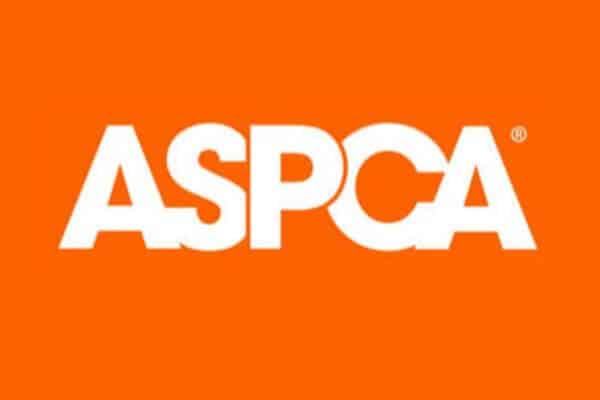 Is-ASPCA-A-GOOD-CHARITY-.jpg