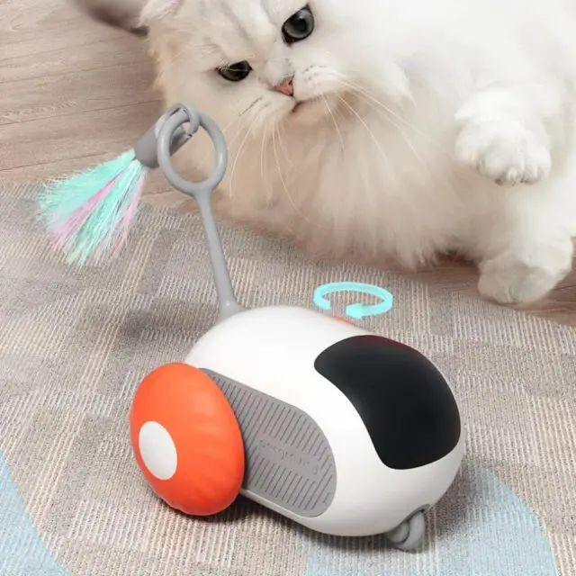 Remote Control Interactive Cat Toy Car
