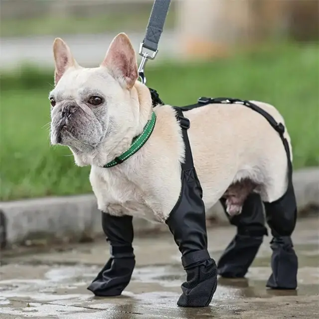 Waterproof Dog Shoes for Ultimate Comfort & Protection