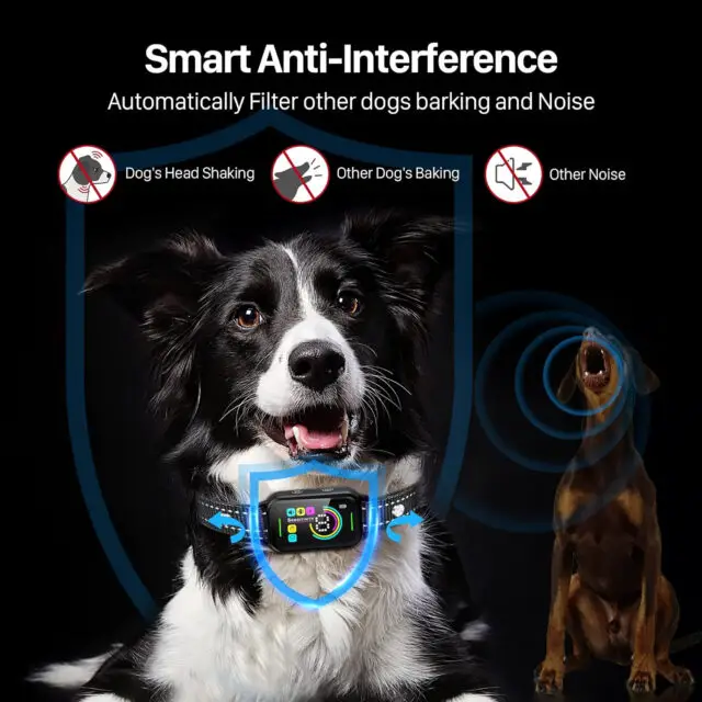 DINJOO Smart Anti-Bark Collar for Large, Medium & Small Dogs