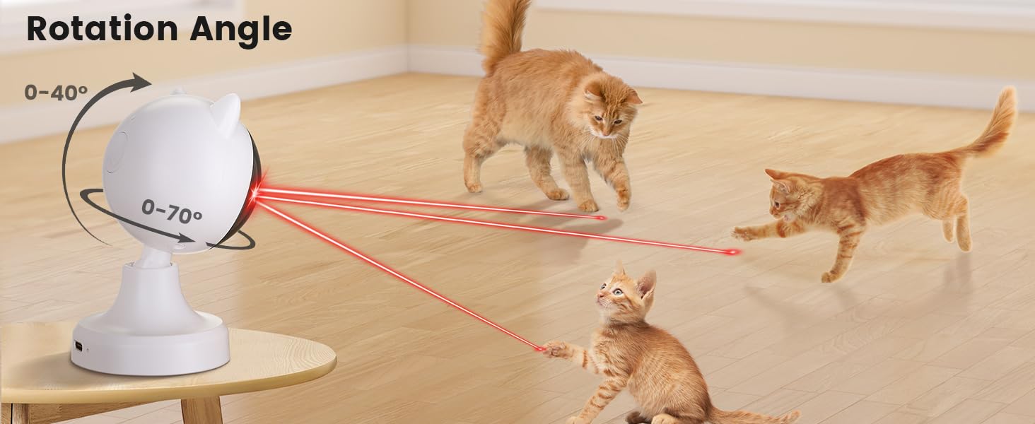 cat laser pointer toy interactive fun