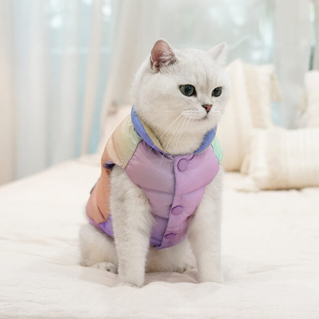 Colorful Pet Vest Top Cat Warm Winter Fashion Clothes Teddy Dog Clothing