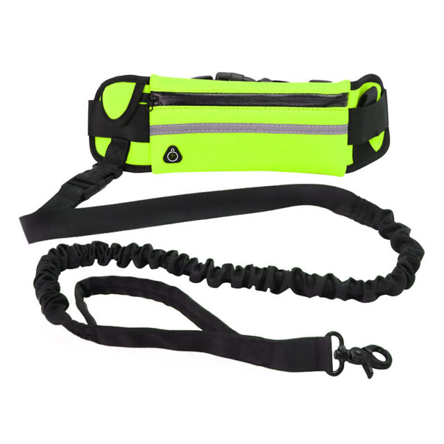 Hands-Free Dog Leash for Active Owners