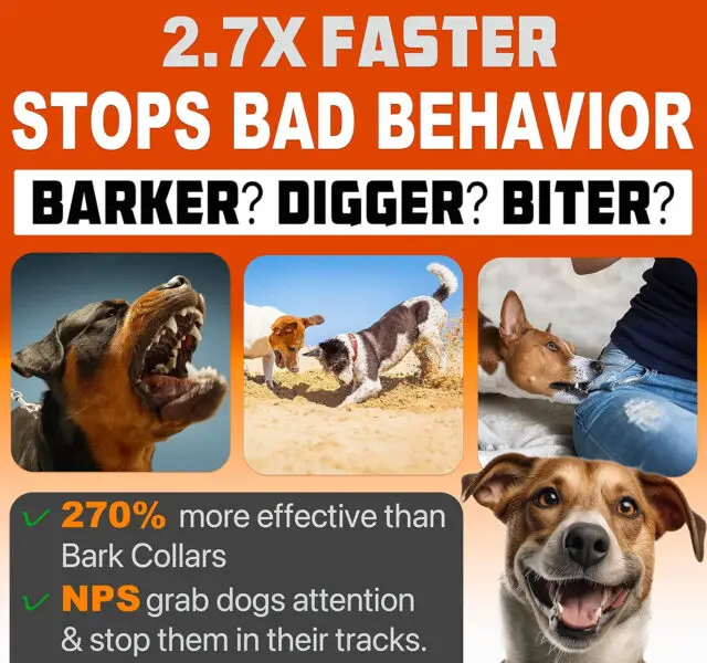 Dog Bark Deterrent Device to Stop Bad Behavior