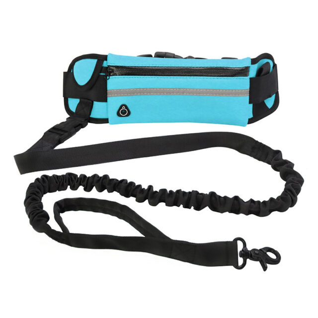 Hands-Free Dog Leash for Active Owners