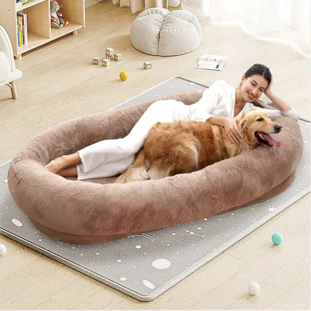 Washable, Orthopedic Human Sized Dog Bed For You And Your Pets