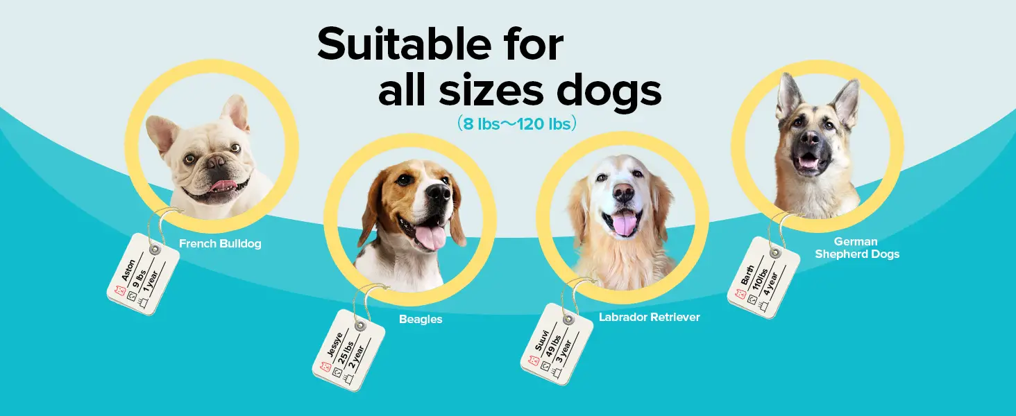 Suitable for all sizes dogs