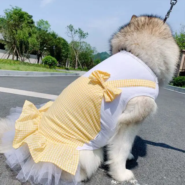 Pretty White & Pink/Yellow Dress for Big Dogs