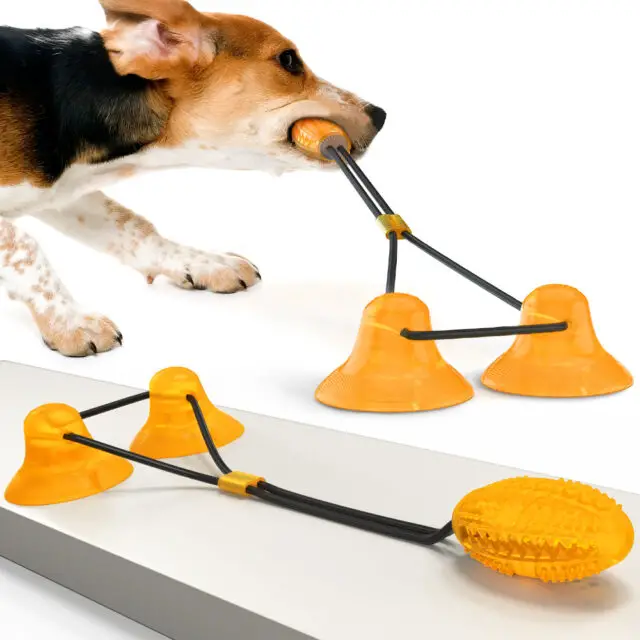 Rubber toy set for small dogs and puppies