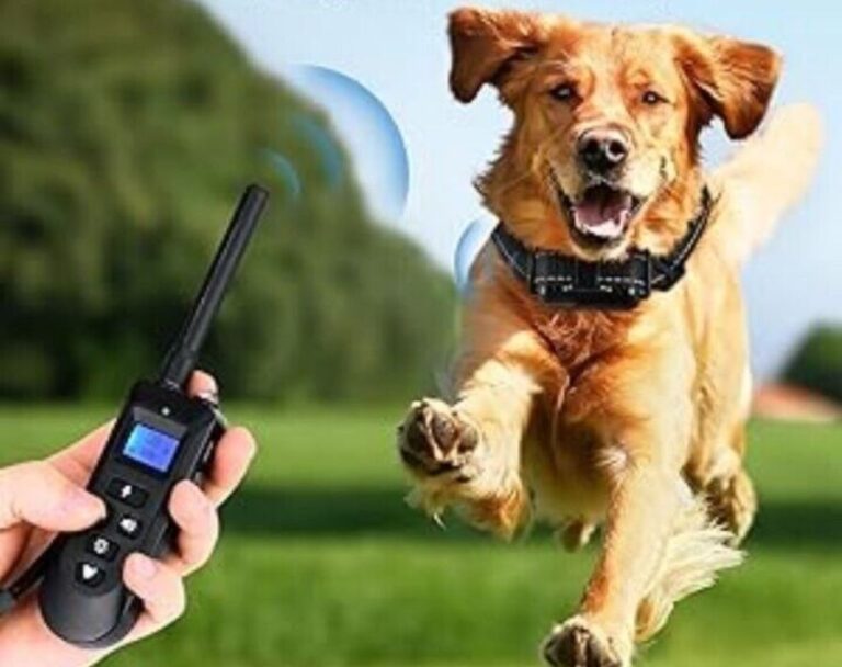 Dog training collar with remote vs without remote