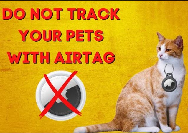 The Cons of Using an AirTag for Your Cat