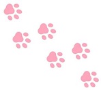 pink dog pore prints