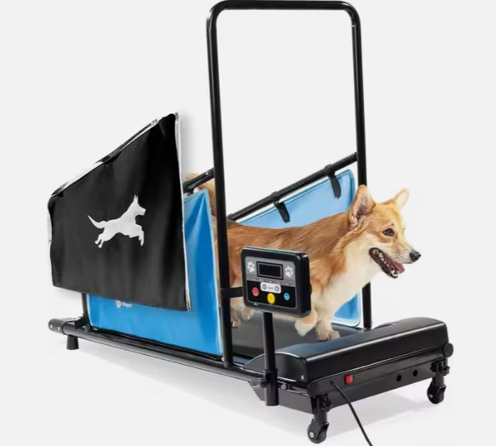 Electric pet dog walker treadmill