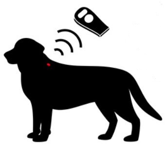 microchipping your pet