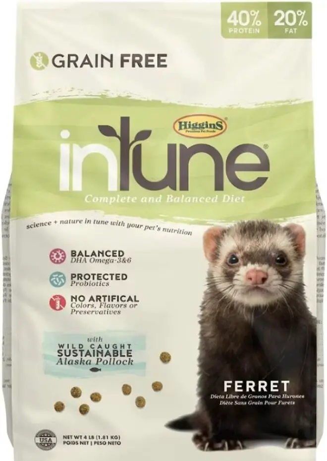 Intune Ferret Food