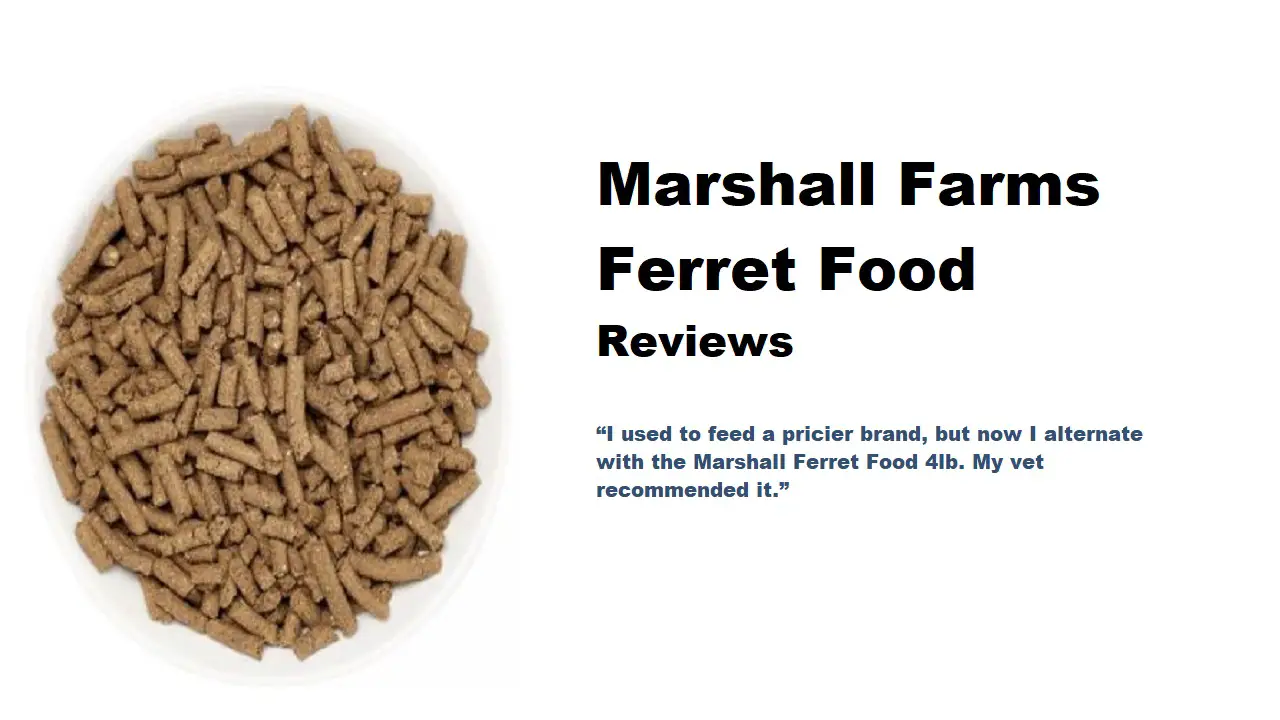 marshall farms ferret food review