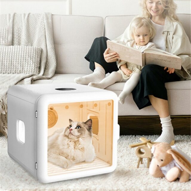 Intelligent Pet Drying Box: Automatic, Quiet, & Large Capacity Grooming Dryer