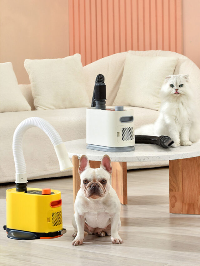 Guidedpet® High-Velocity Pet Dryer