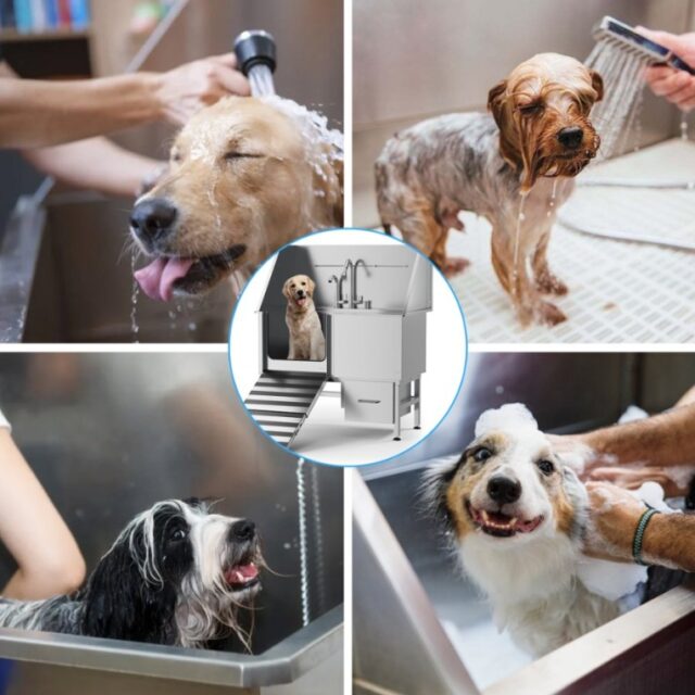 Stainless Steel Dog Bath Table - Image 8