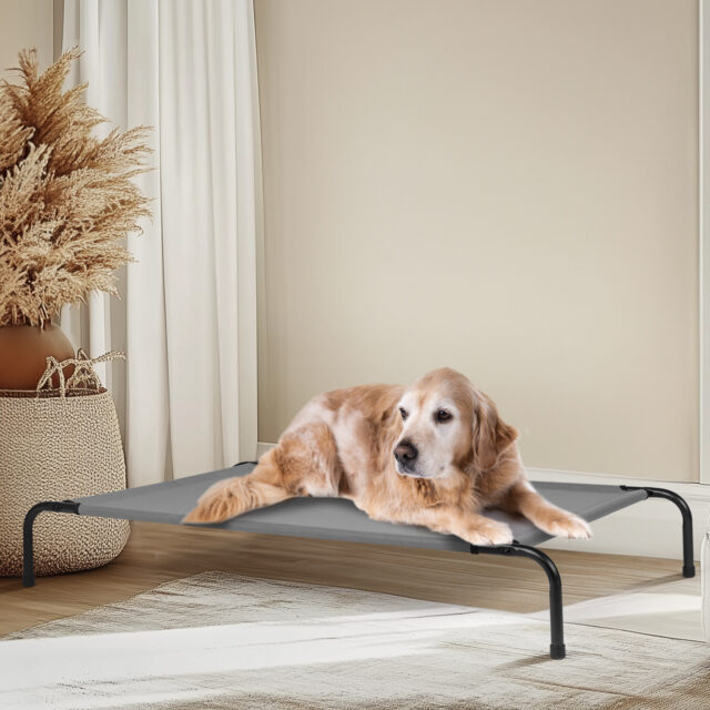 Guided Pet Levitating Pet Beds - Image 5