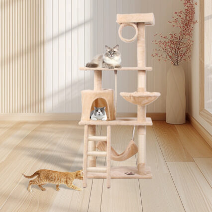 Guided Pet Cat Climbing Frame