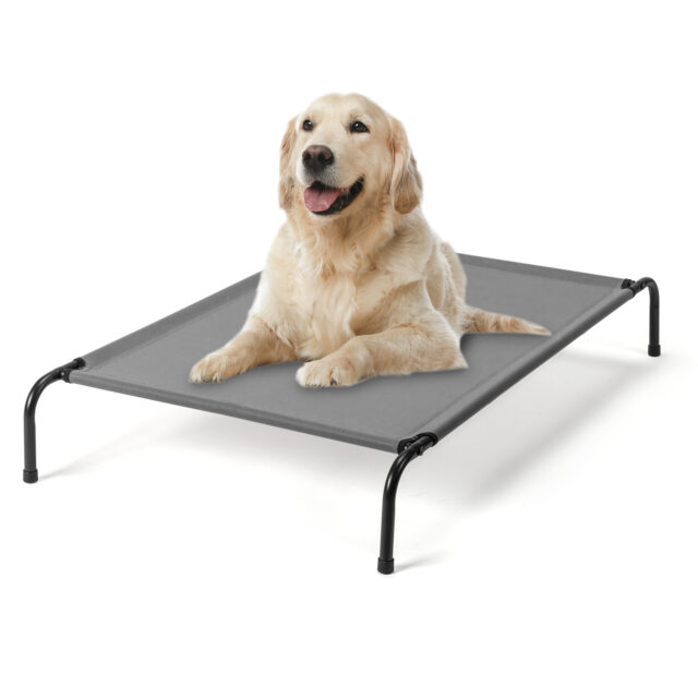 Guided Pet Levitating Pet Beds - Image 4