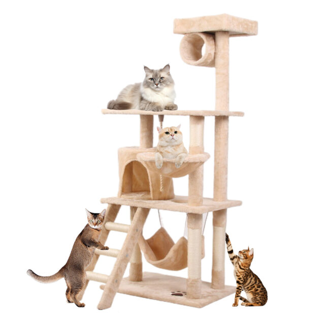 Guided Pet Cat Climbing Frame - Image 6