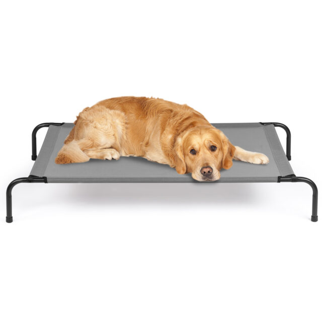 Guided Pet Levitating Pet Beds - Image 3