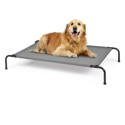 Guided Pet Levitating Pet Beds